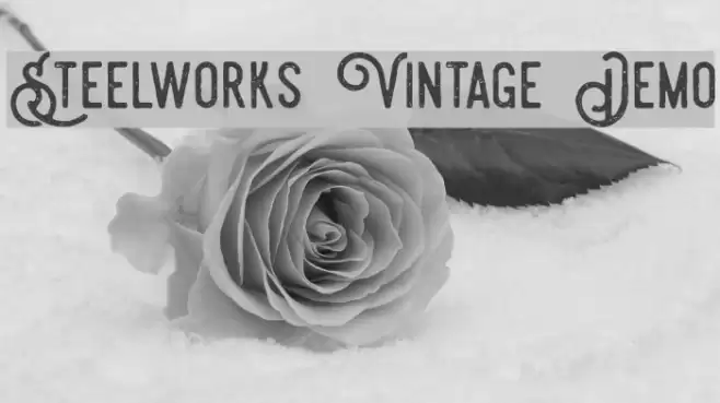 Steelworks Vintage Demo Font examples