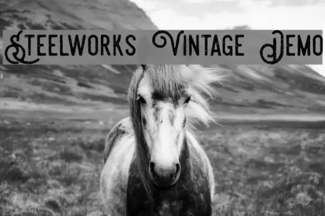 Steelworks Vintage Demo Font examples