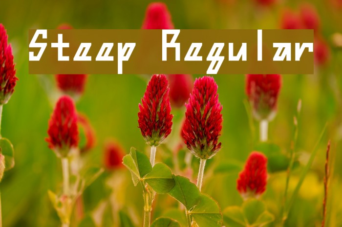 Steep Regular Example 1