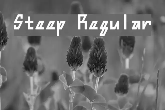 Steep Regular Font examples
