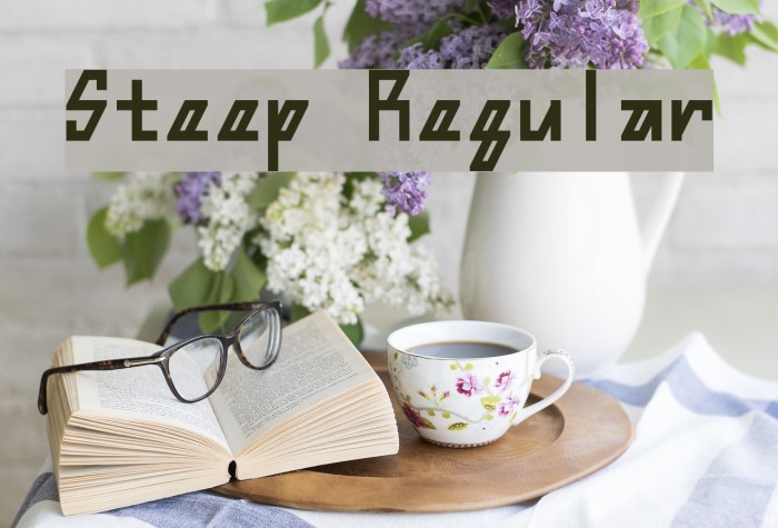 Steep Regular Example 2