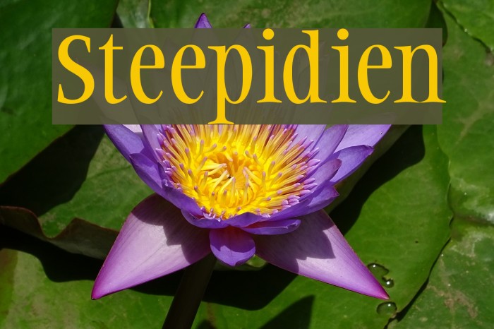 Steepidien Font examples