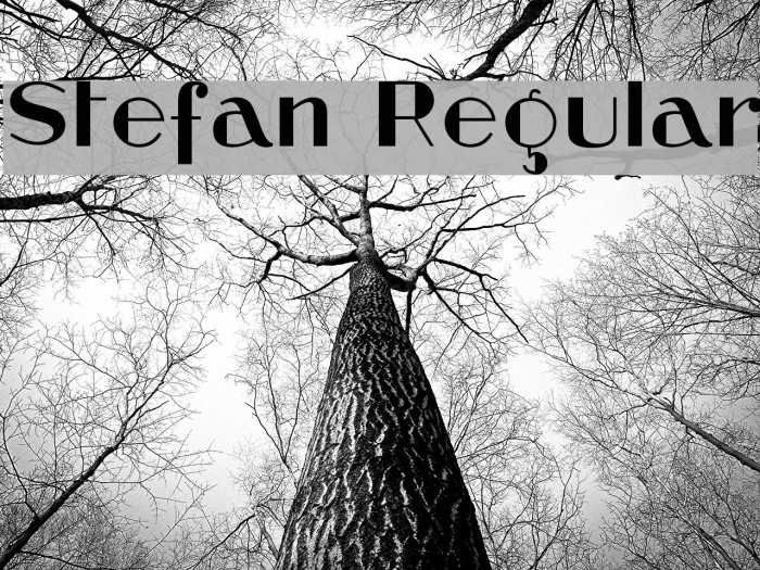 Stefan Regular Font examples