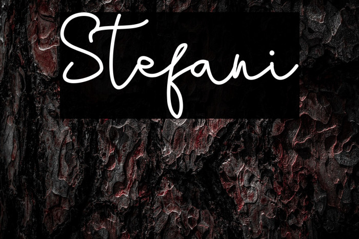 Stefani Example 2