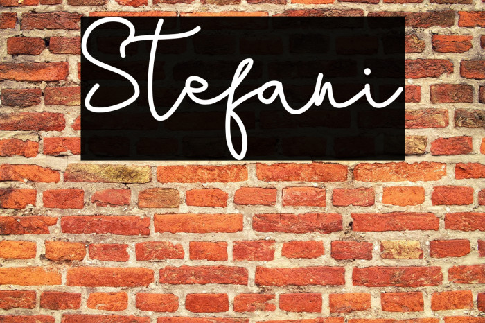 Stefani Example 3
