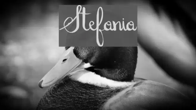 Stefania Font examples