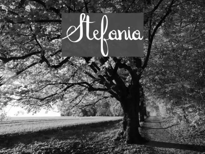 Stefania Font examples