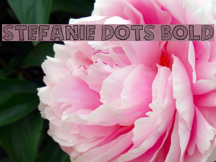 Stefanie Dots Bold Example 1