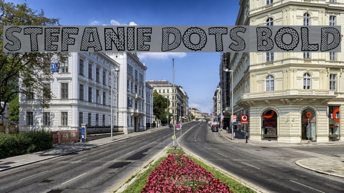 Stefanie Dots Bold Example 3