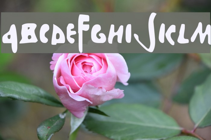Stefanit Font examples