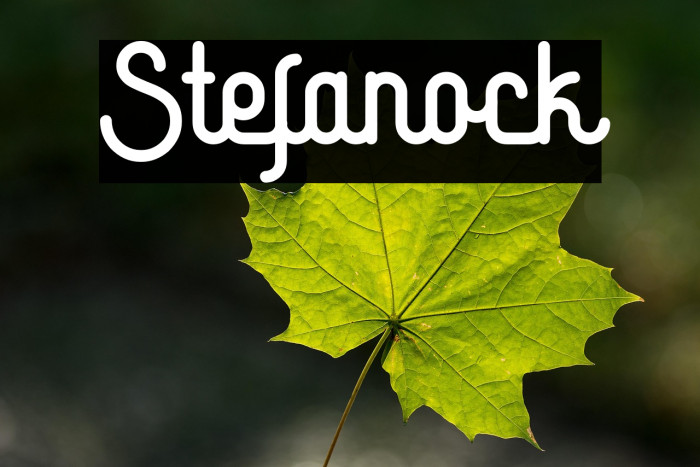 Stefanock Example 1
