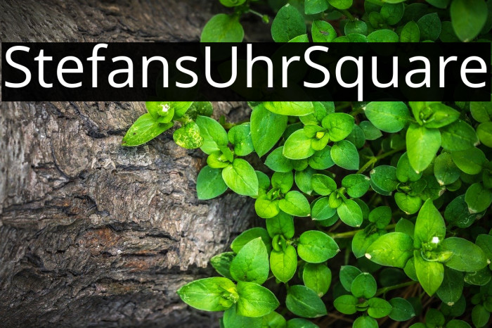 StefansUhrSquare Font examples