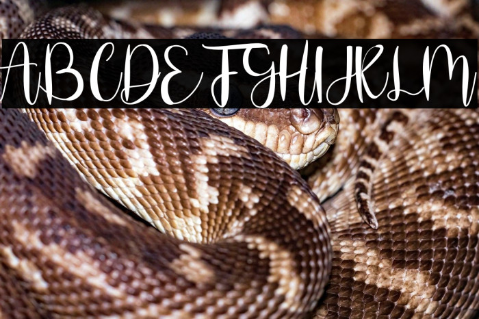 Stefany Signature Example 2