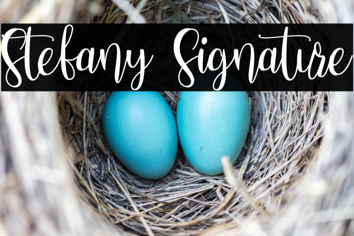 Stefany Signature Example 3