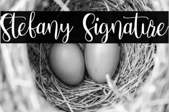 Stefany Signature Font examples