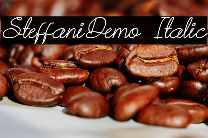 Steffani-Demo Italic Example 2