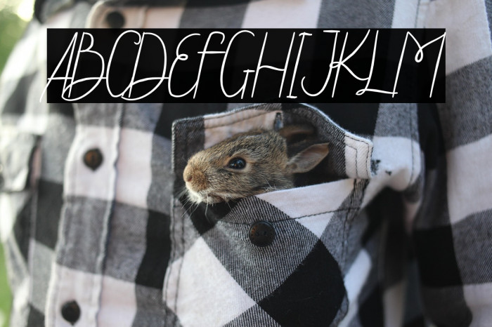 Steffi Ondey Example 1