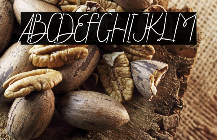 Steffi Ondey Example 2