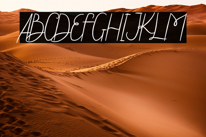 Steffi Ondey Example 3