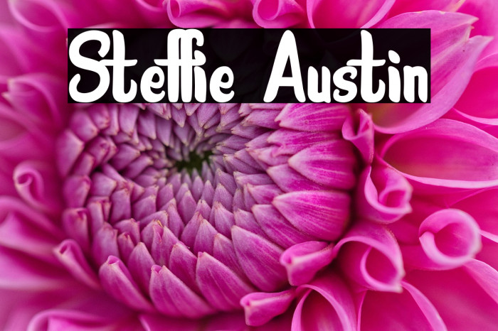Steffie Austin Example 1