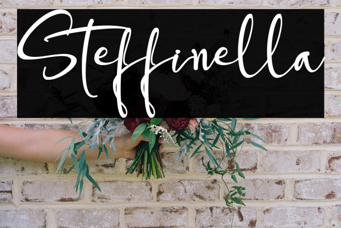 Steffinella Example 1
