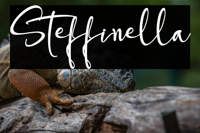 Steffinella Example 2