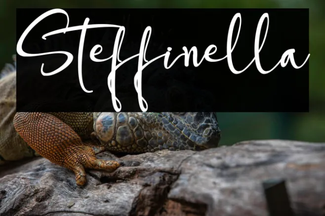 Steffinella Example 2