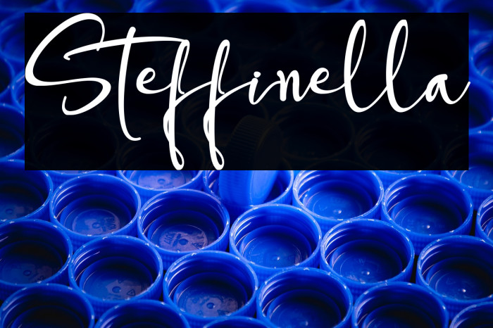 Steffinella Example 3