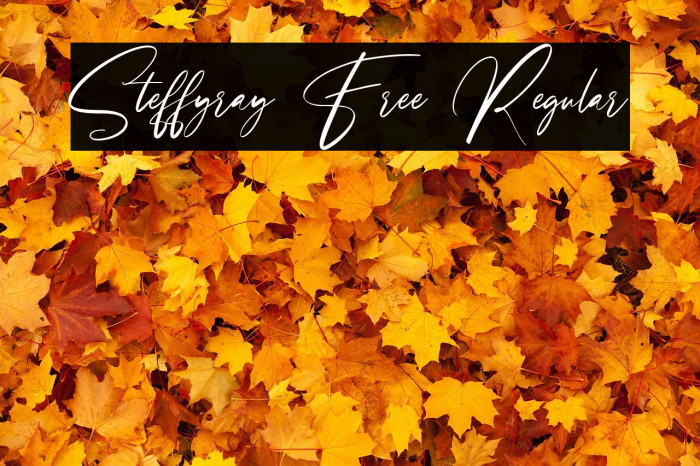 Steffyray Free Regular Example 1