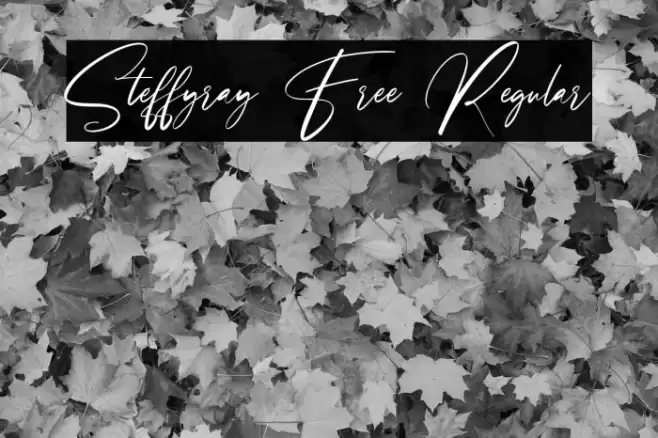 Steffyray Free Regular Font examples