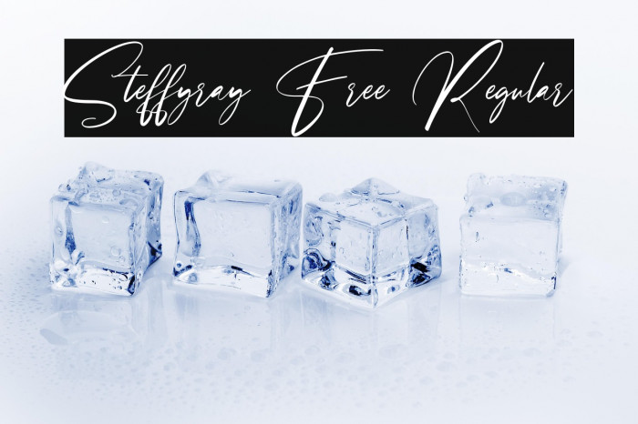 Steffyray Free Regular Example 2