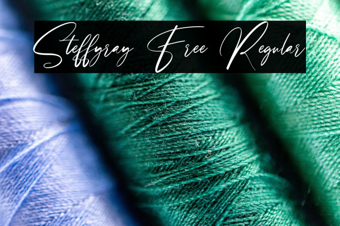 Steffyray Free Regular Example 3