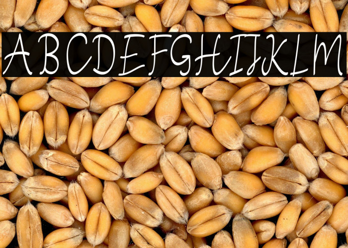 StefianScript Example 1