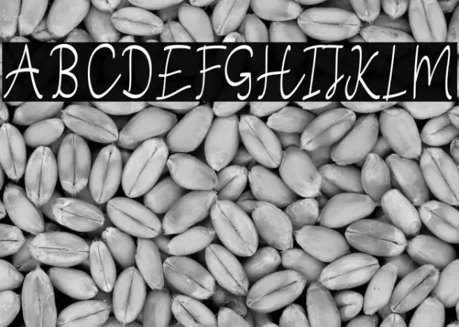 StefianScript Font examples