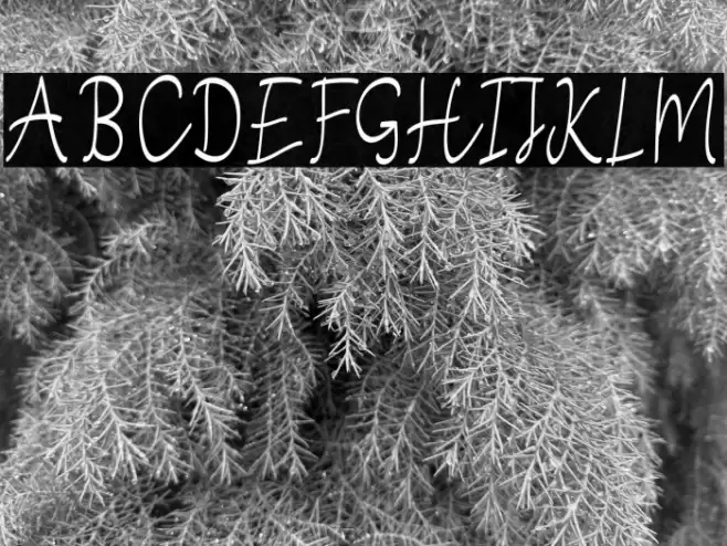 StefianScript Font examples