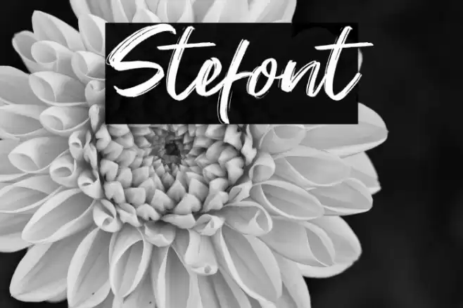 Stefont Font examples