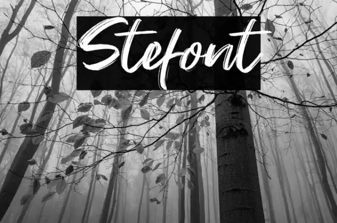 Stefont Font examples