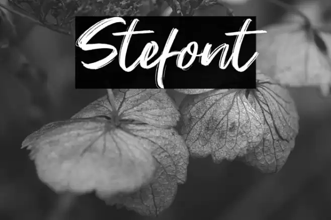 Stefont Font examples