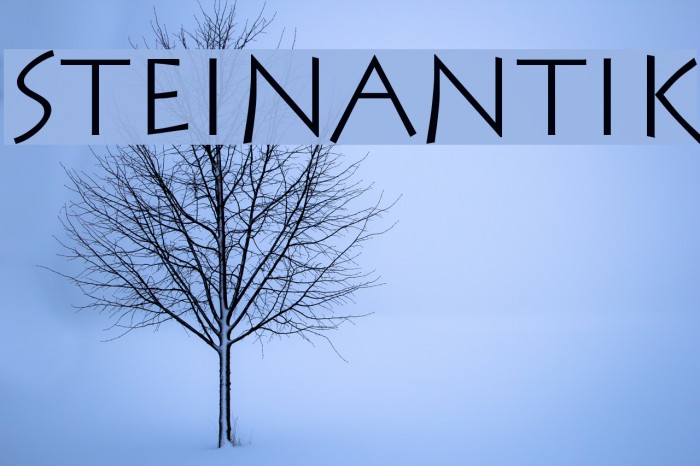 SteinAntik Font examples