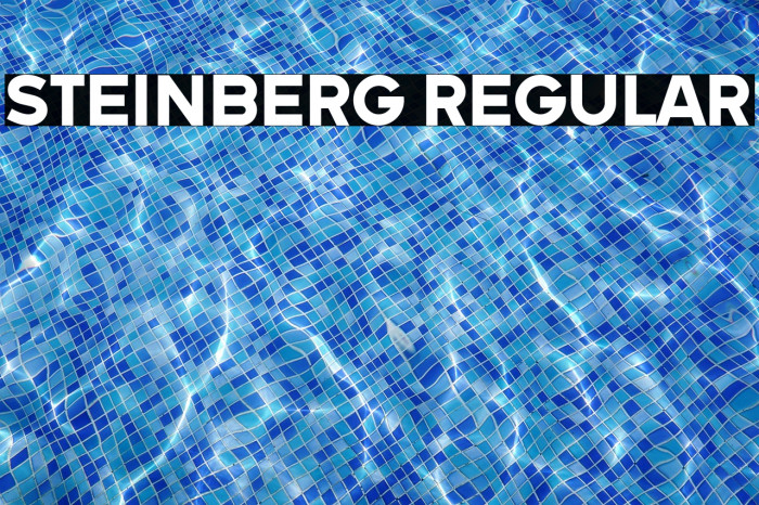 Steinberg Regular Example 2