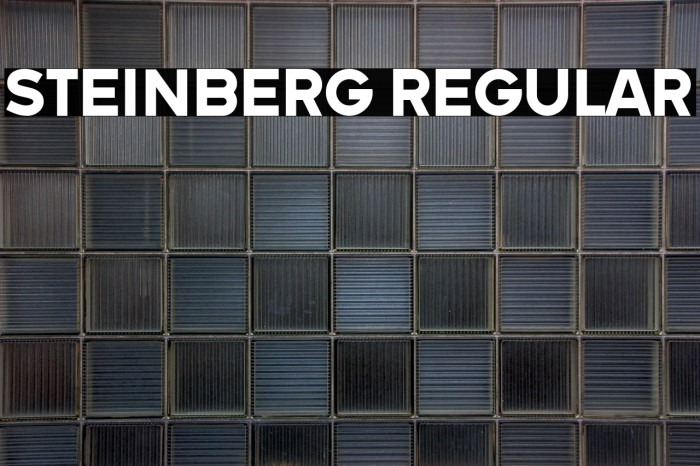 Steinberg Regular Example 3