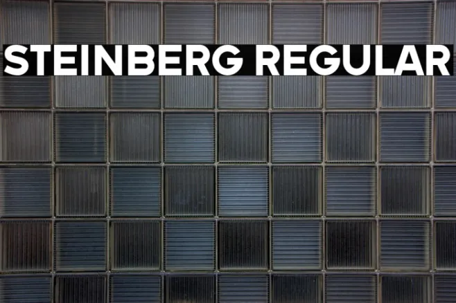 Steinberg Regular Example 3