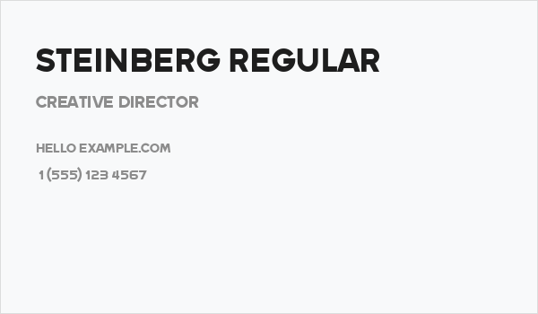 Steinberg Regular Business Card