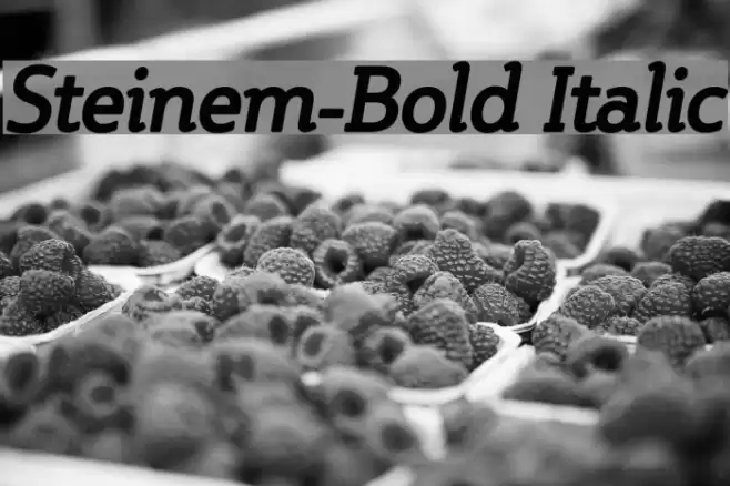 Steinem-Bold Italic Font examples