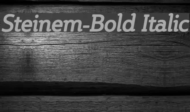 Steinem-Bold Italic Font examples