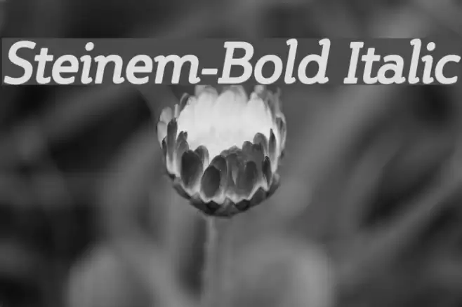 Steinem-Bold Italic Font examples