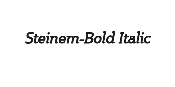 Steinem-Bold Italic Logo