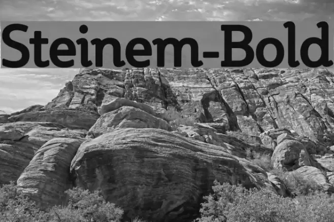 Steinem-Bold Font examples