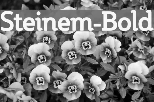 Steinem-Bold Font examples