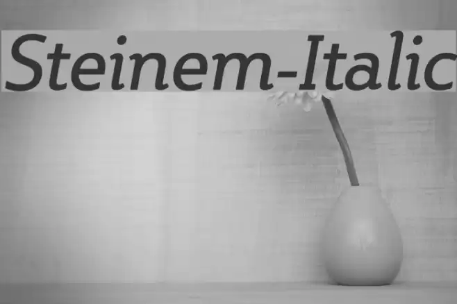 Steinem-Italic Font examples